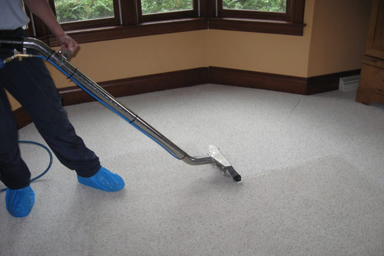 Limpieza de alfombras y tapizado